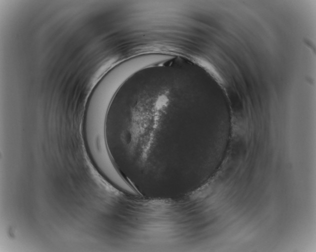 X0000098150946200804241736