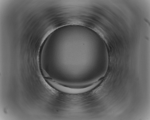 X0000098150947200804241736