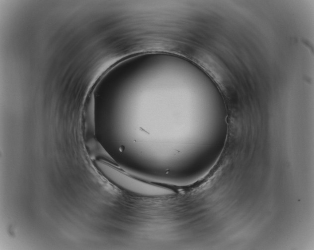 X0000098150948200804241736