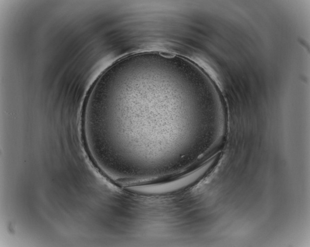 X0000098150949200804241736