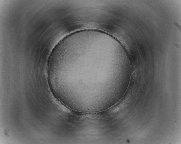 X0000098150950200804241736