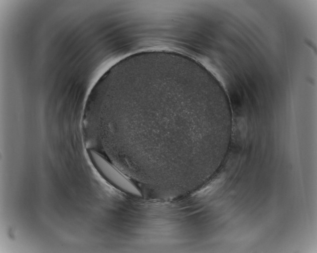 X0000098150951200804241736