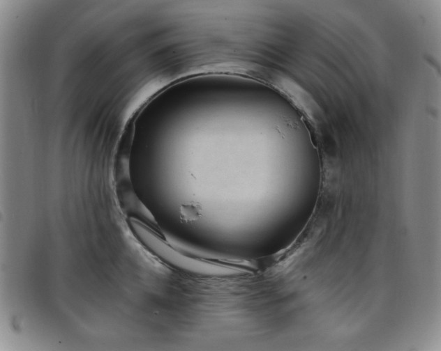 X0000098150952200804241736