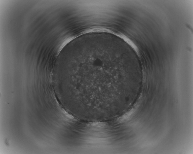 X0000098150953200804241736