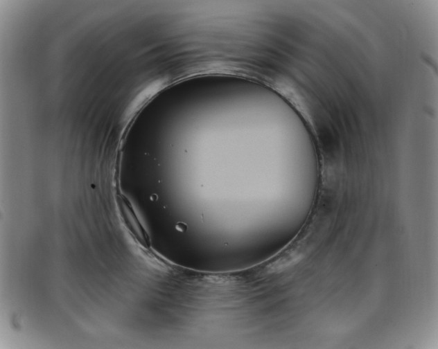 X0000098150954200804241736