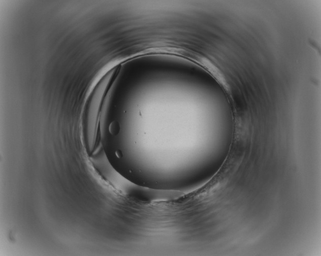 X0000098150955200804241736