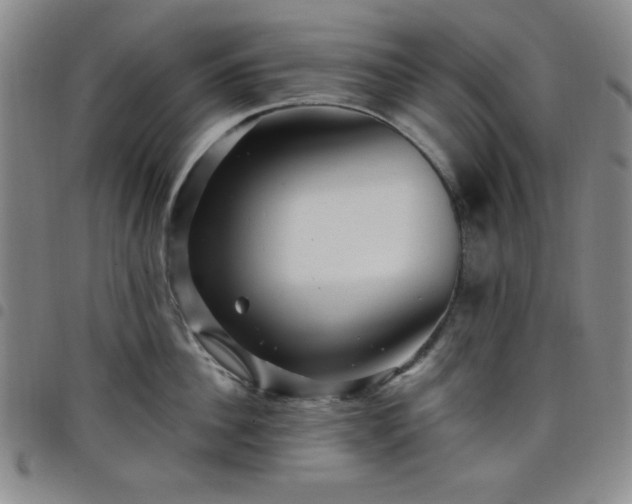 X0000098150956200804241736