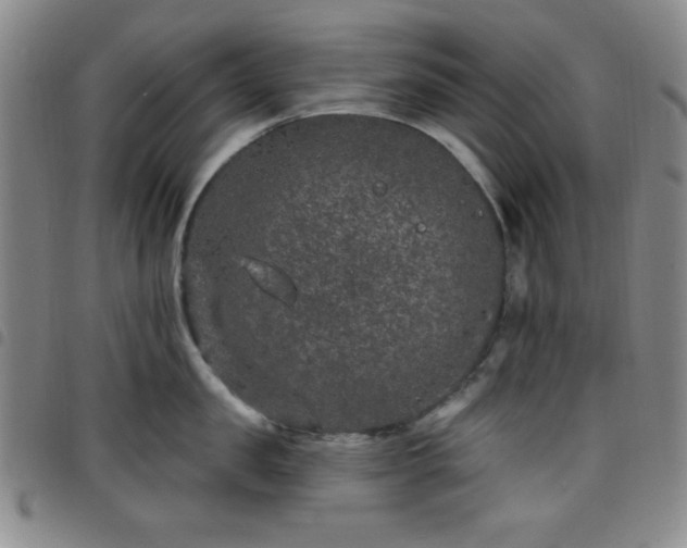 X0000098150957200804241736
