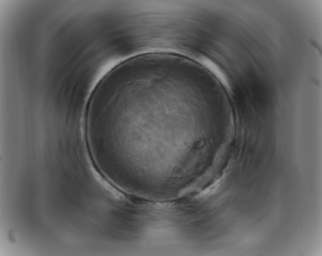 X0000098150958200804241736