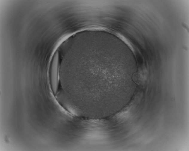 X0000098150959200804241736