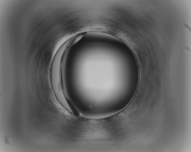 X0000098150960200804241736