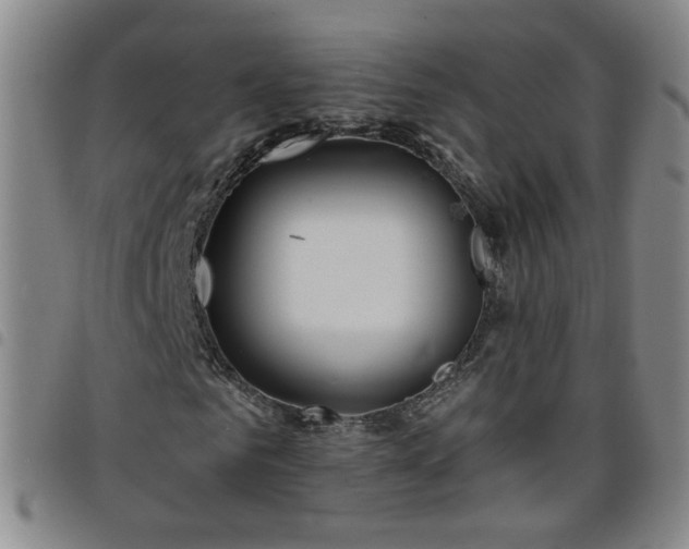 X0000098150961200804241735