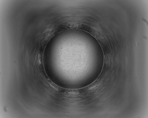 X0000098150962200804241735