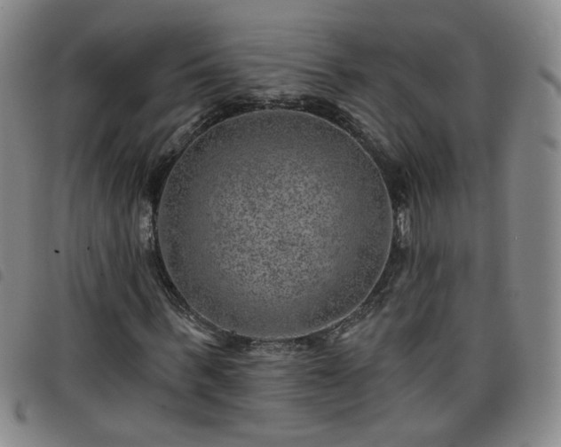 X0000098150963200804241735