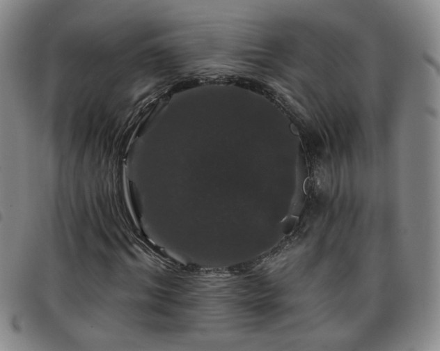 X0000098150964200804241735