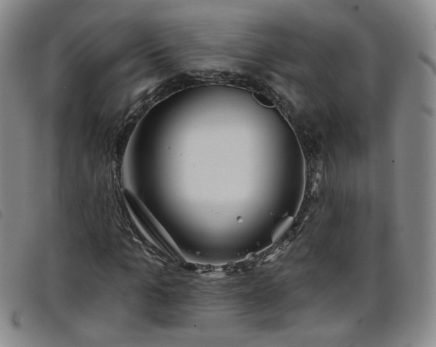 X0000098150965200804241735