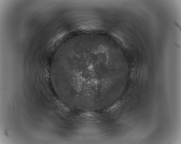X0000098150966200804241735