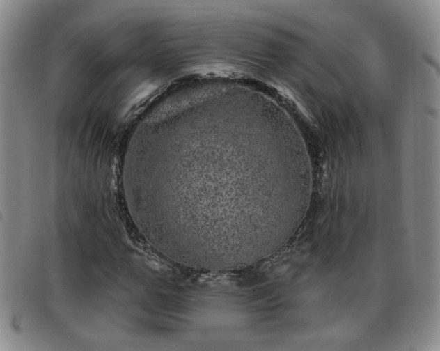X0000098150967200804241735