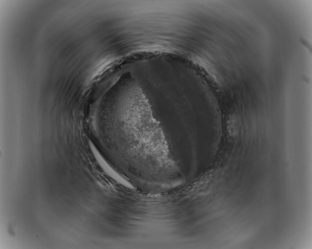 X0000098150968200804241735