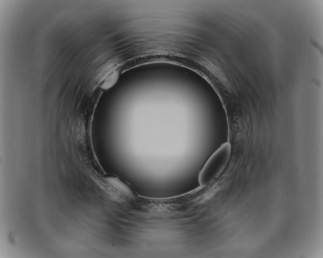 X0000098150969200804241735