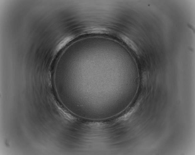 X0000098150970200804241735