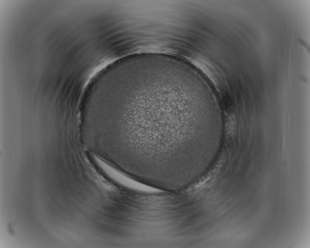 X0000098150971200804241735