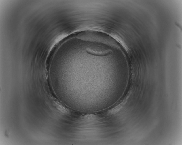 X0000098150974200804241735