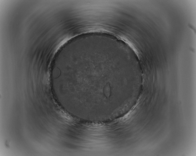 X0000098150975200804241735