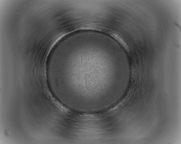 X0000098150976200804241735
