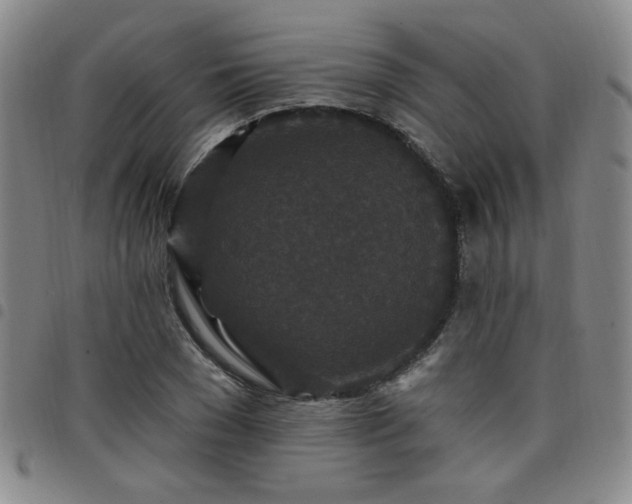 X0000098150977200804241735