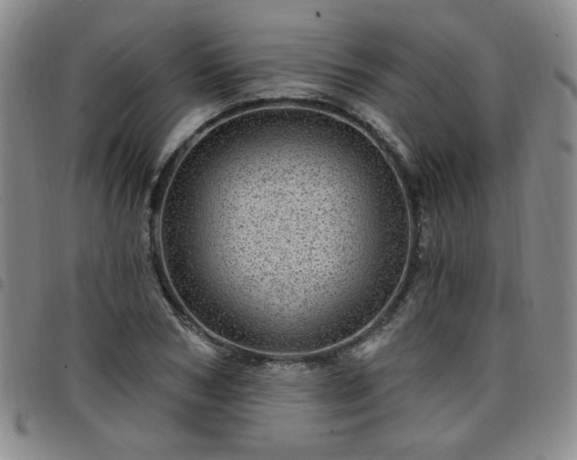 X0000098150978200804241735