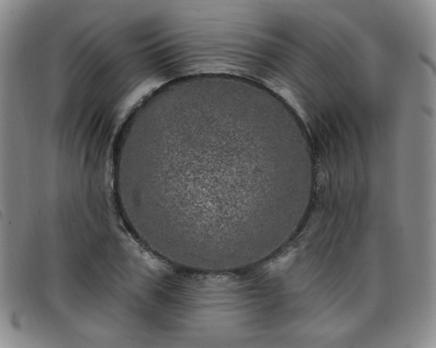X0000098150979200804241735
