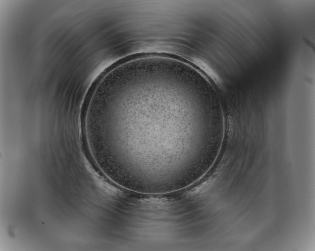 X0000098150980200804241735