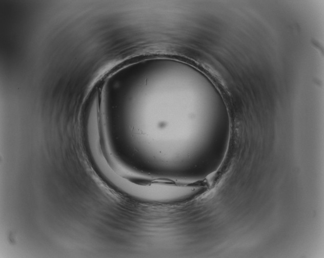 X0000098150981200804241735