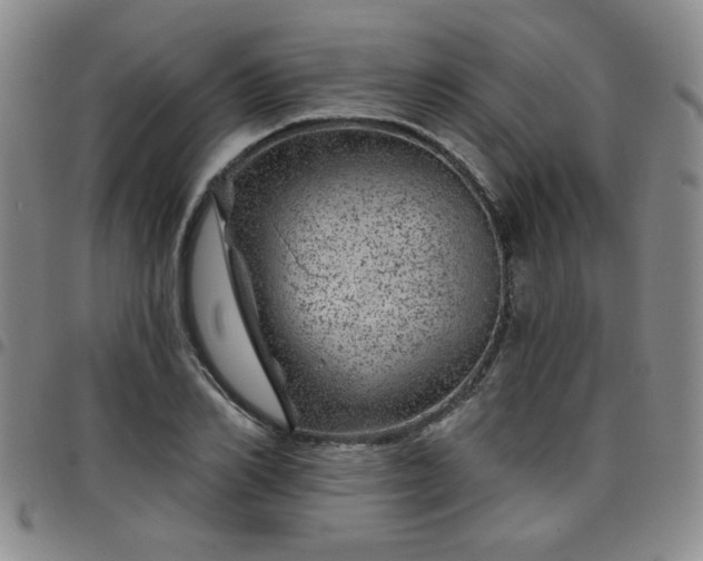 X0000098150982200804241735