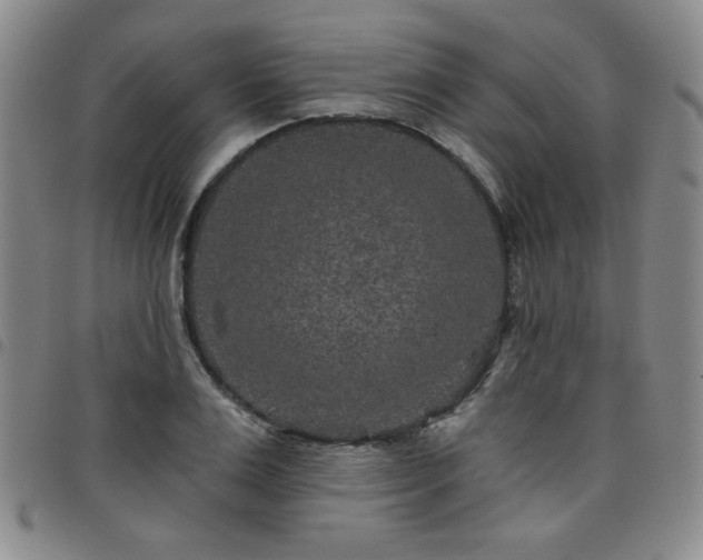 X0000098150983200804241735