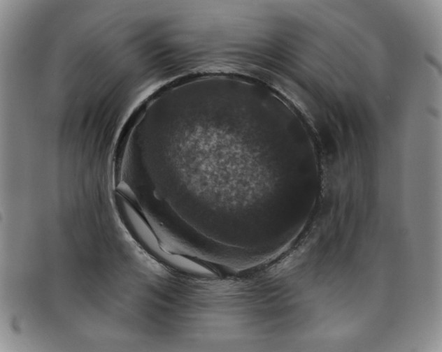 X0000098150984200804241735