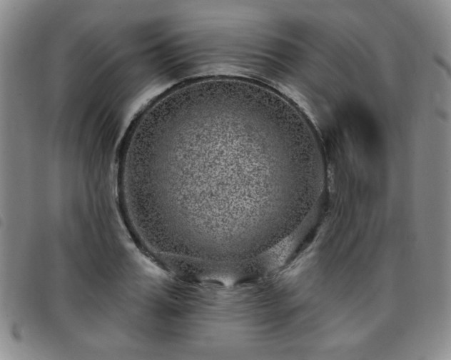 X0000098150987200804241735
