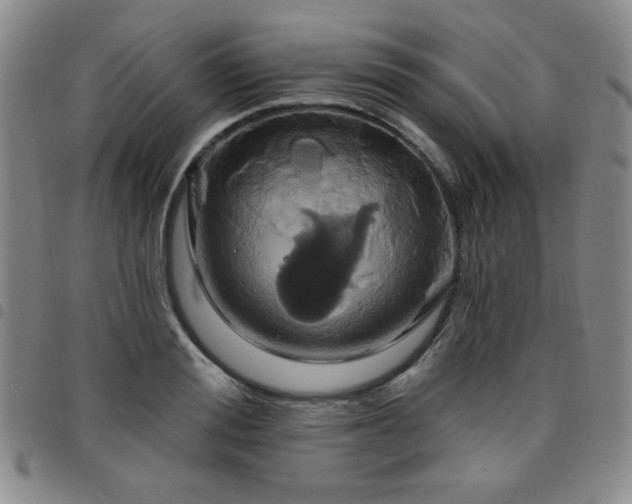 X0000098150988200804241735