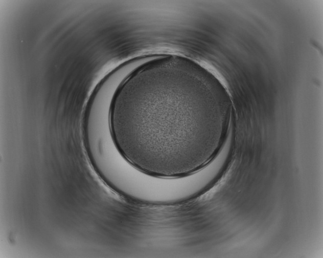 X0000098150989200804241735