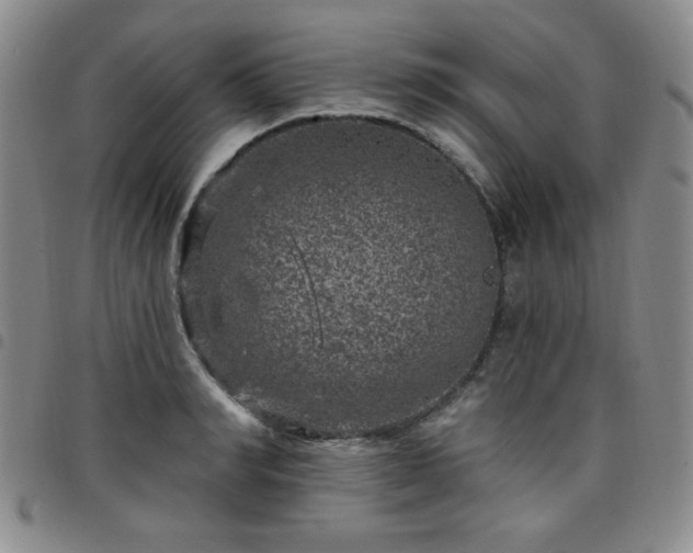 X0000098150990200804241735