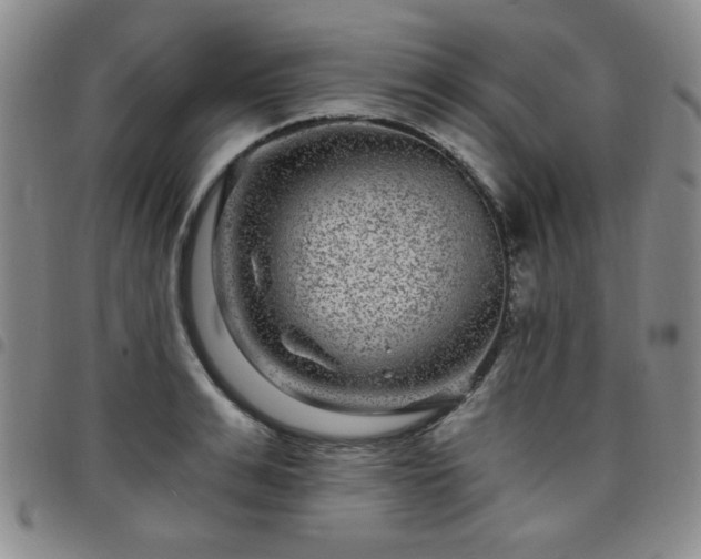 X0000098150991200804241735