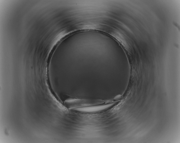 X0000098150992200804241735