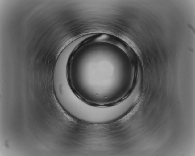 X0000098150993200804241735