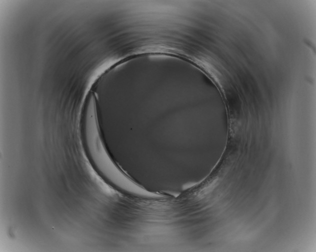 X0000098150995200804241735
