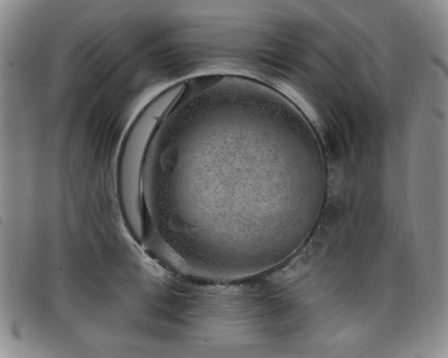 X0000098150996200804241735