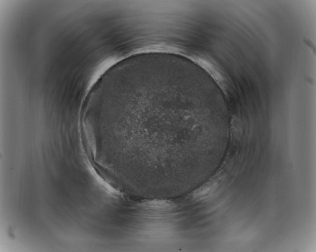 X0000098150998200804241735