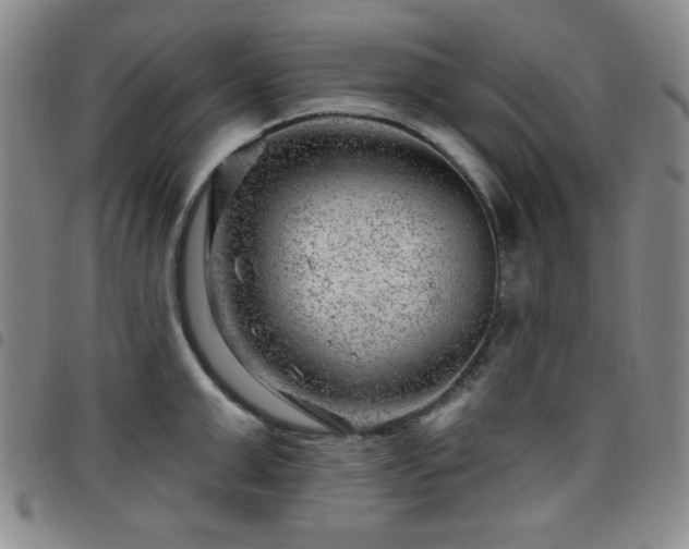 X0000098150999200804241735