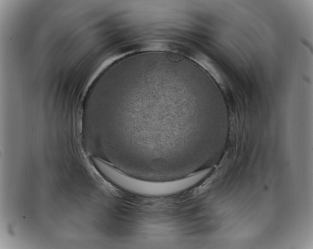 X0000098151000200804241735