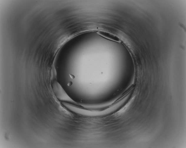 X0000098151001200804241735